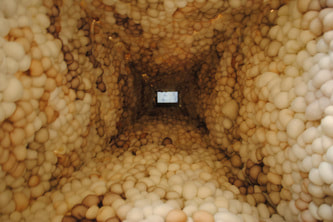 Interior view of "Frequency of the Many-Head Slime"